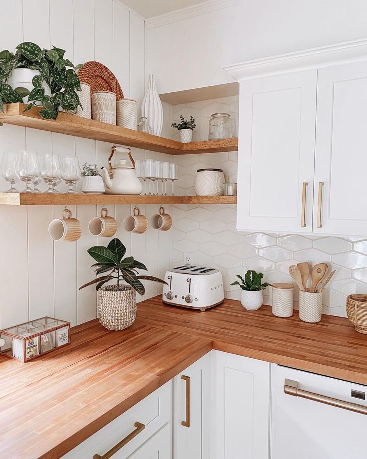 Culinary Campus: Top Gadgets for Cooking Up Healthy at College